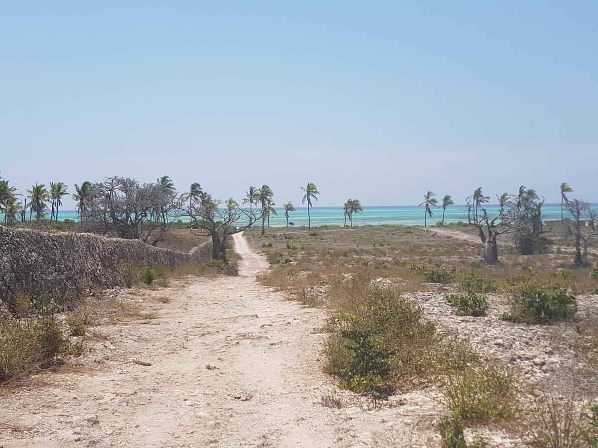 Nyumba Ya Afrika Bed & Breakfast Watamu Exterior photo